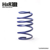 H&R Sport Lowering Springs