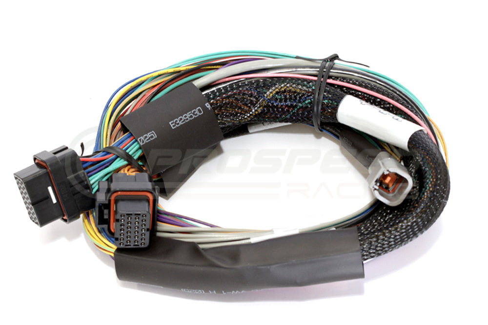 Haltech Elite 2500/2500T Basic Universal Wire-In Harness Only - 2.5m HT-141302 | Pro Speed Racing